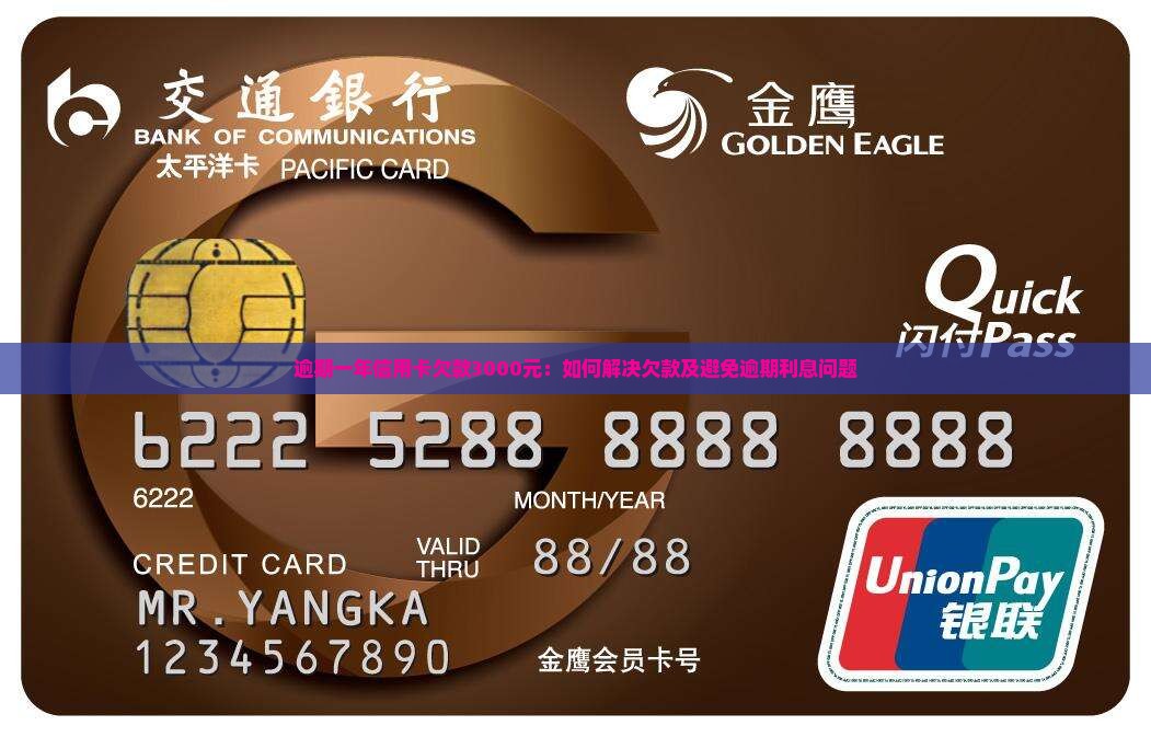逾期一年信用卡欠款3000元：如何解决欠款及避免逾期利息问题
