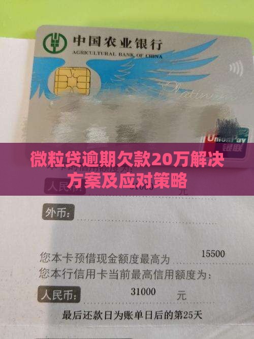 微粒贷逾期欠款20万解决方案及应对策略