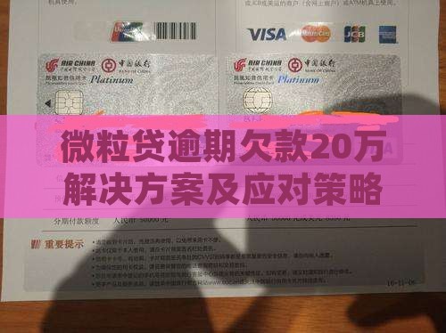 微粒贷逾期欠款20万解决方案及应对策略