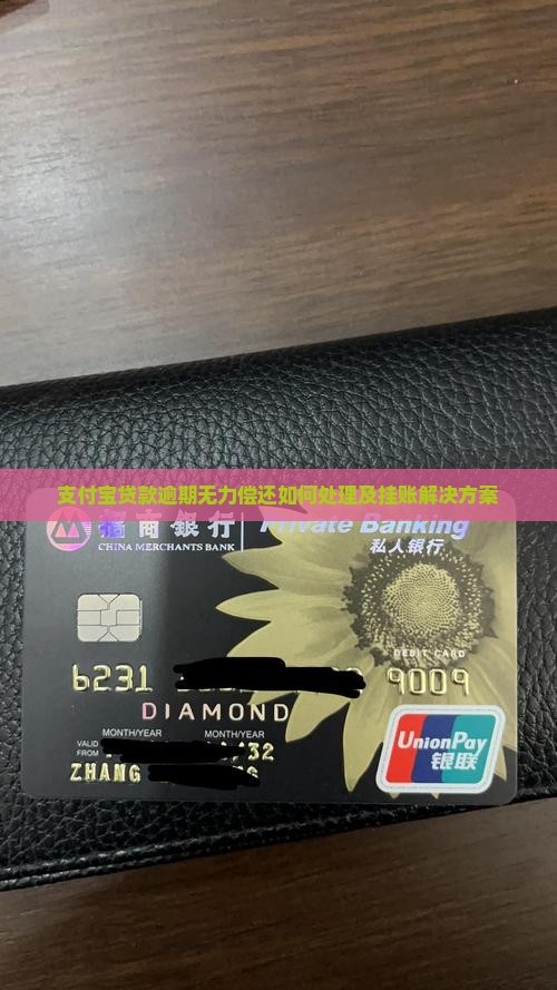 支付宝贷款逾期无力偿还如何处理及挂账解决方案