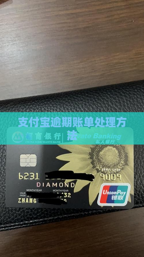 支付宝逾期账单处理方法