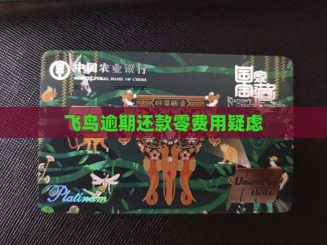 飞鸟逾期还款零费用疑虑