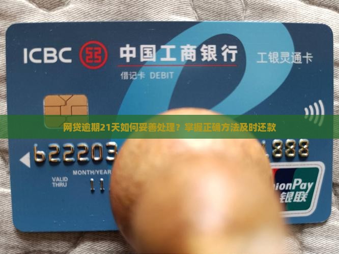 网贷逾期21天如何妥善处理？掌握正确方法及时还款