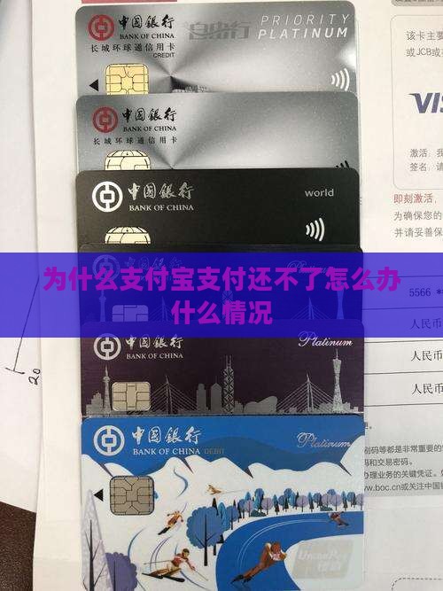 为什么支付宝支付还不了怎么办什么情况