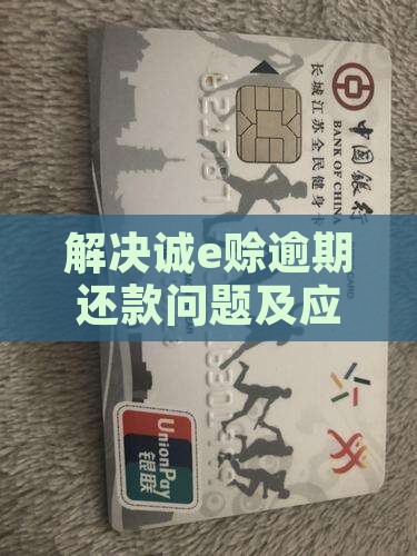 解决诚e赊逾期还款问题及应对策略