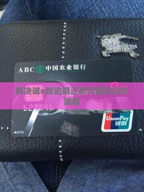 解决诚e赊逾期还款问题及应对策略