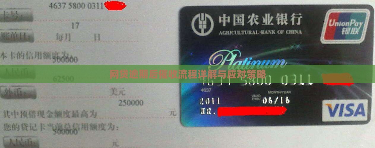 网贷逾期后催收流程详解与应对策略