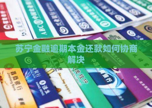 苏宁金融逾期本金还款如何协商解决