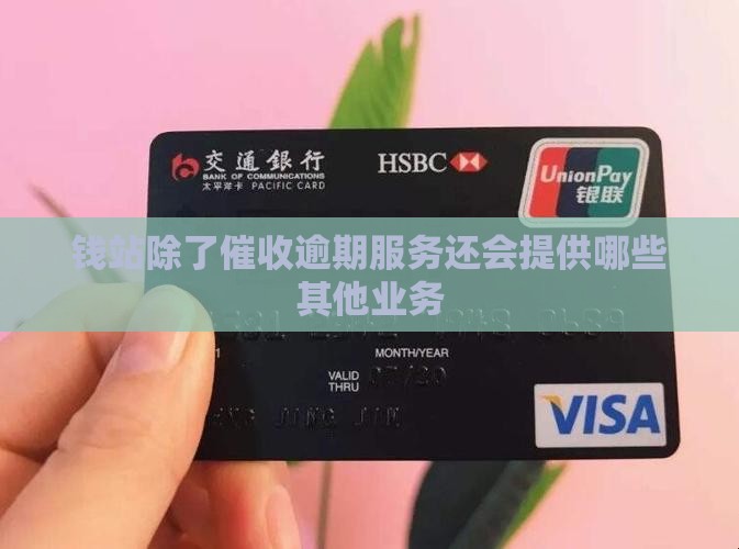 钱站除了催收逾期服务还会提供哪些其他业务