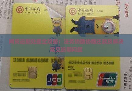 网贷逾期处理全攻略：法务协助协商还款及解决常见逾期问题