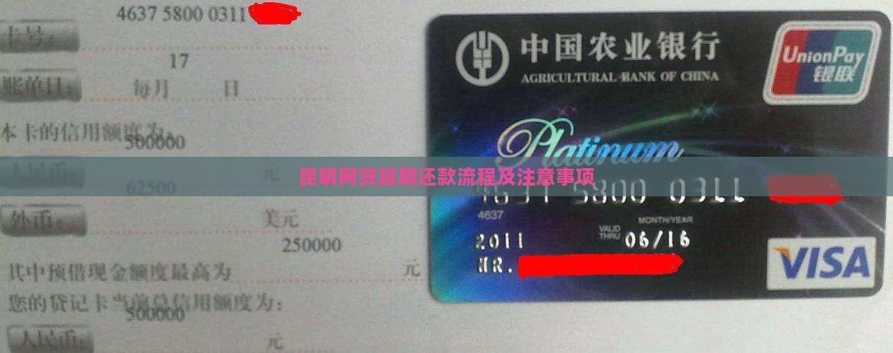 昆明网贷延期还款流程及注意事项