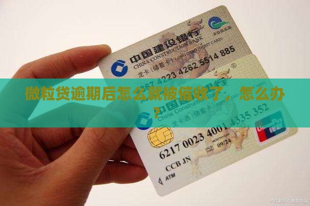 信用卡逾期后怎么就被催收了，怎么办？