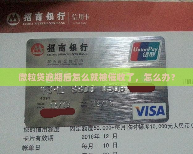 信用卡逾期后怎么就被催收了，怎么办？