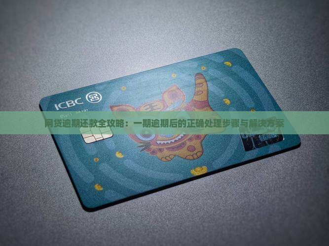 网贷逾期还款全攻略：一期逾期后的正确处理步骤与解决方案