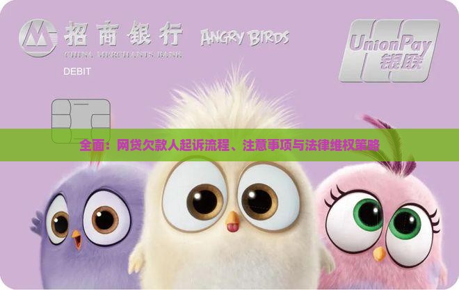全面：网贷欠款人起诉流程、注意事项与法律维权策略