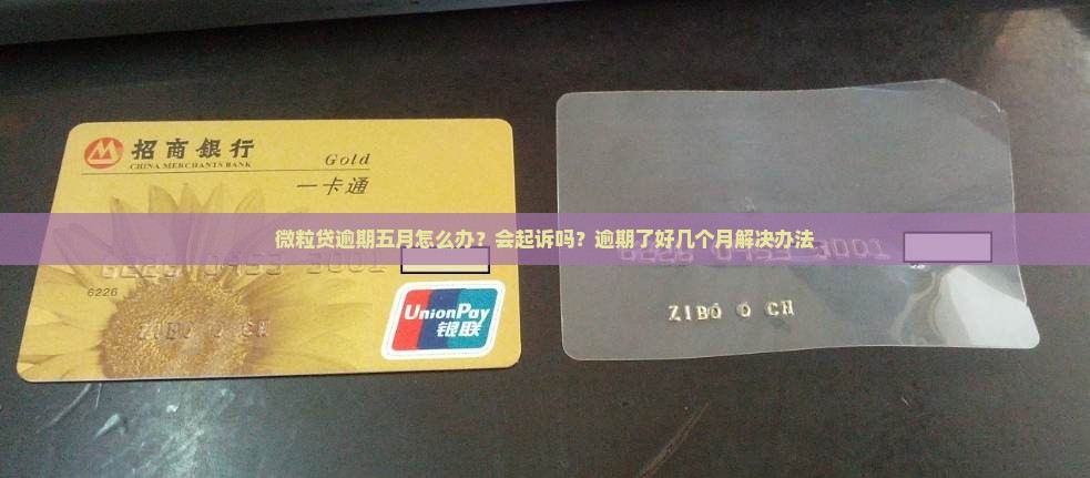 微粒贷逾期五月怎么办？会起诉吗？逾期了好几个月解决办法