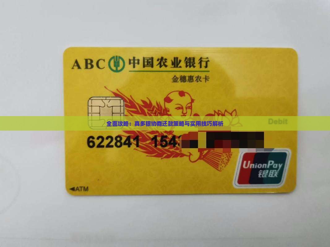 全面攻略：真多银协商还款策略与实用技巧解析