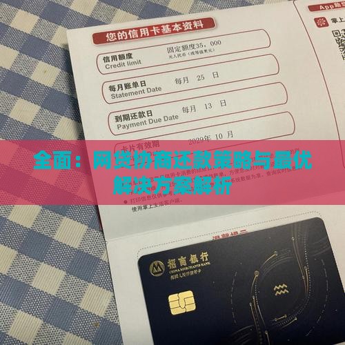 全面：网贷协商还款策略与最优解决方案解析