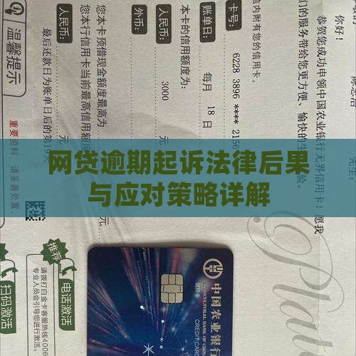 网贷逾期起诉法律后果与应对策略详解