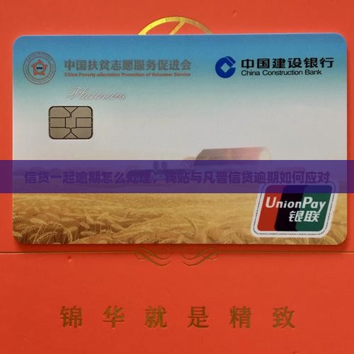 信贷一起逾期怎么处理，钱站与凡普信贷逾期如何应对