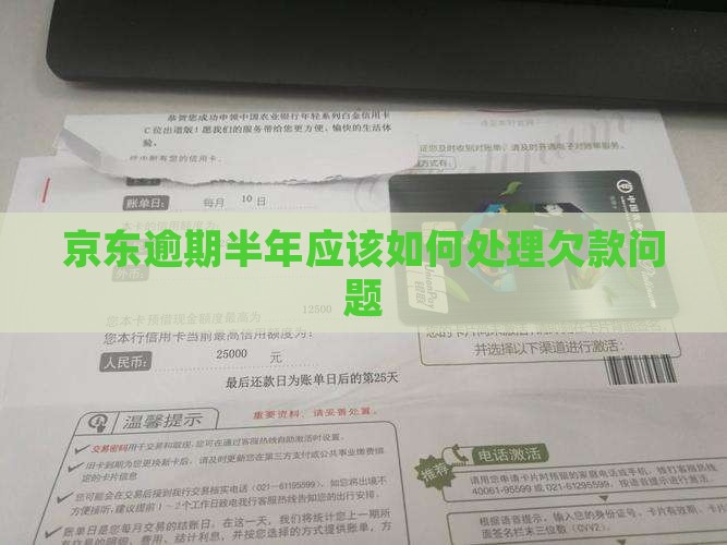 京东逾期半年应该如何处理欠款问题