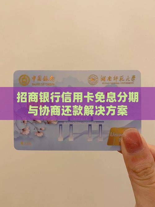 招商银行信用卡免息分期与协商还款解决方案