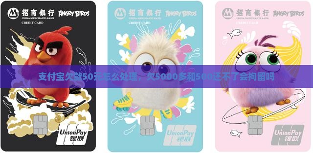 支付宝欠款50元怎么处理，欠5000多和500还不了会拘留吗