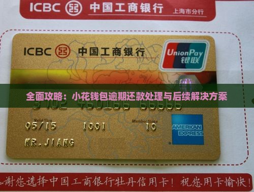 全面攻略：小花钱包逾期还款处理与后续解决方案