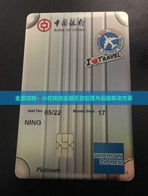 全面攻略：小花钱包逾期还款处理与后续解决方案
