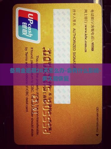 备用金逾期20天怎么办-会有什么影响-多久能恢复
