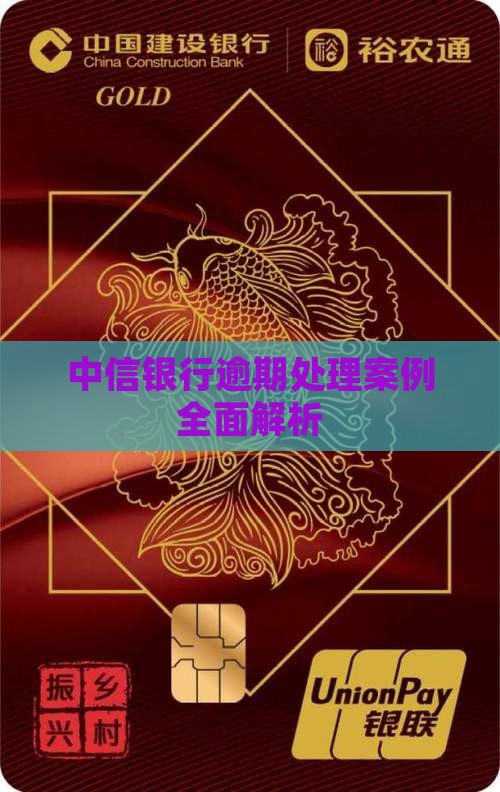中信银行逾期处理案例全面解析