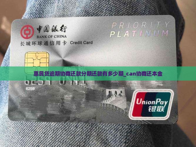 惠民贷逾期协商还款分期还款有多少期_can协商还本金