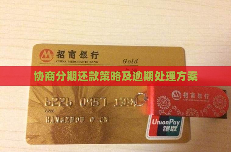 协商分期还款策略及逾期处理方案