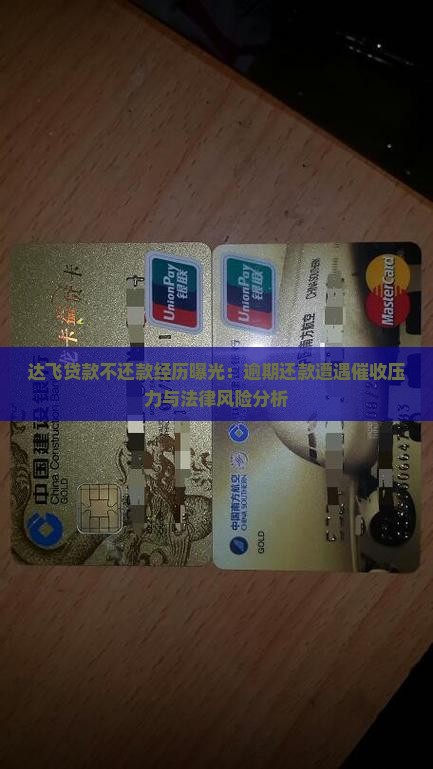 达飞贷款不还款经历曝光：逾期还款遭遇催收压力与法律风险分析