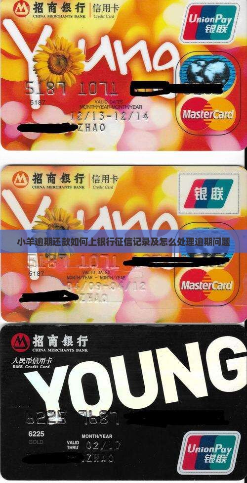 小羊逾期还款如何上银行征信记录及怎么处理逾期问题