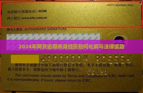 2024年网贷逾期亲身经历如何化解与法律援助
