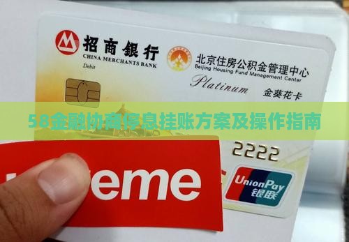 58金融协商停息挂账方案及操作指南