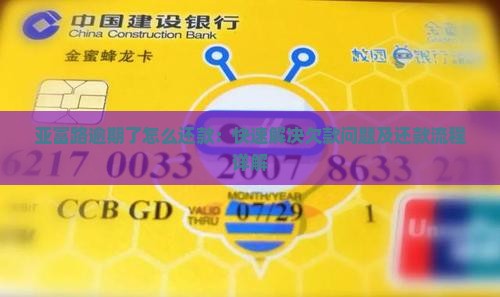 亚富路逾期了怎么还款：快速解决欠款问题及还款流程详解