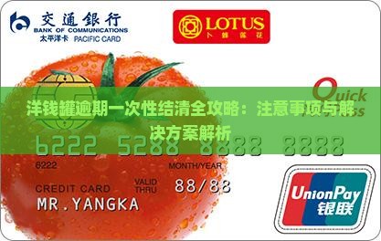 洋钱罐逾期一次性结清全攻略：注意事项与解决方案解析