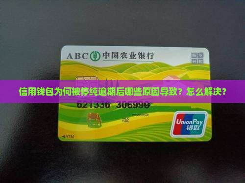 信用钱包为何被停纯逾期后哪些原因导致？怎么解决？