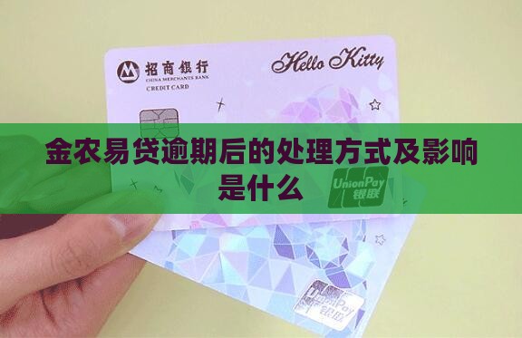 金农易贷逾期后的处理方式及影响是什么