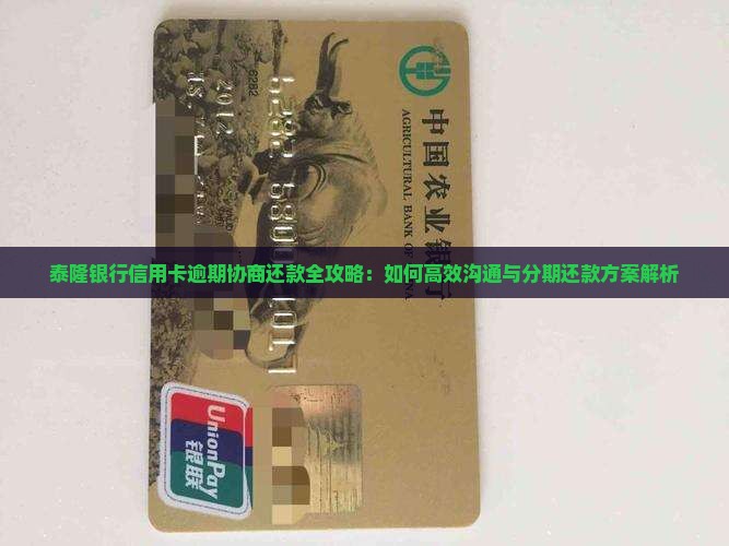 泰隆银行信用卡逾期协商还款全攻略：如何高效沟通与分期还款方案解析