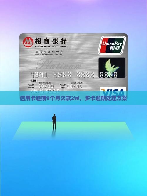 信用卡逾期9个月欠款2W，多卡逾期处理方案