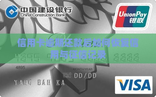 信用卡逾期还款后如何恢复信用与征信记录