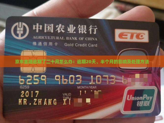 京东金融逾期了二十月怎么办：逾期20天、半个月的影响及处理方法