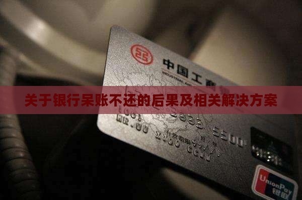 关于银行呆账不还的后果及相关解决方案