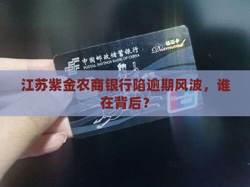 江苏紫金农商银行逾期