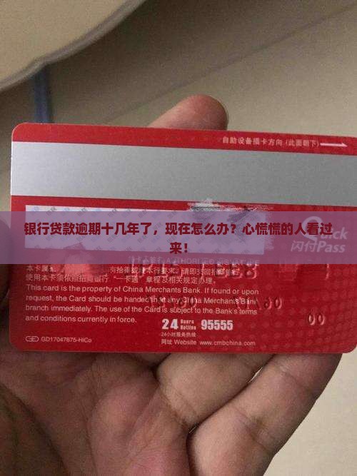 银行贷款逾期十几年后怎么处理
