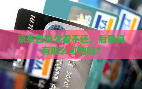 京东白条不还有什么后果会很严重吗