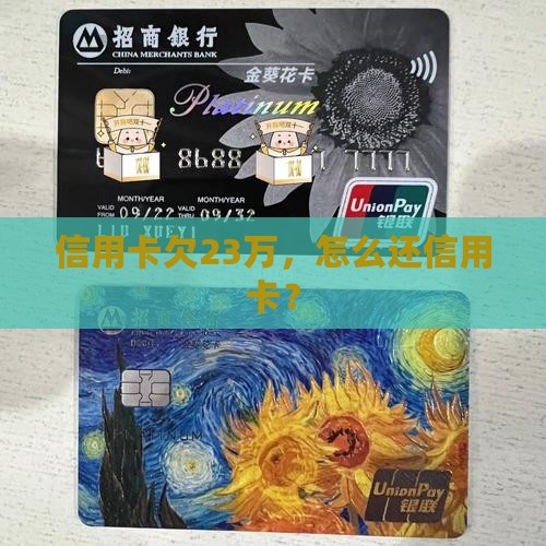 信用卡欠23万怎么还 信用卡欠23万怎么还